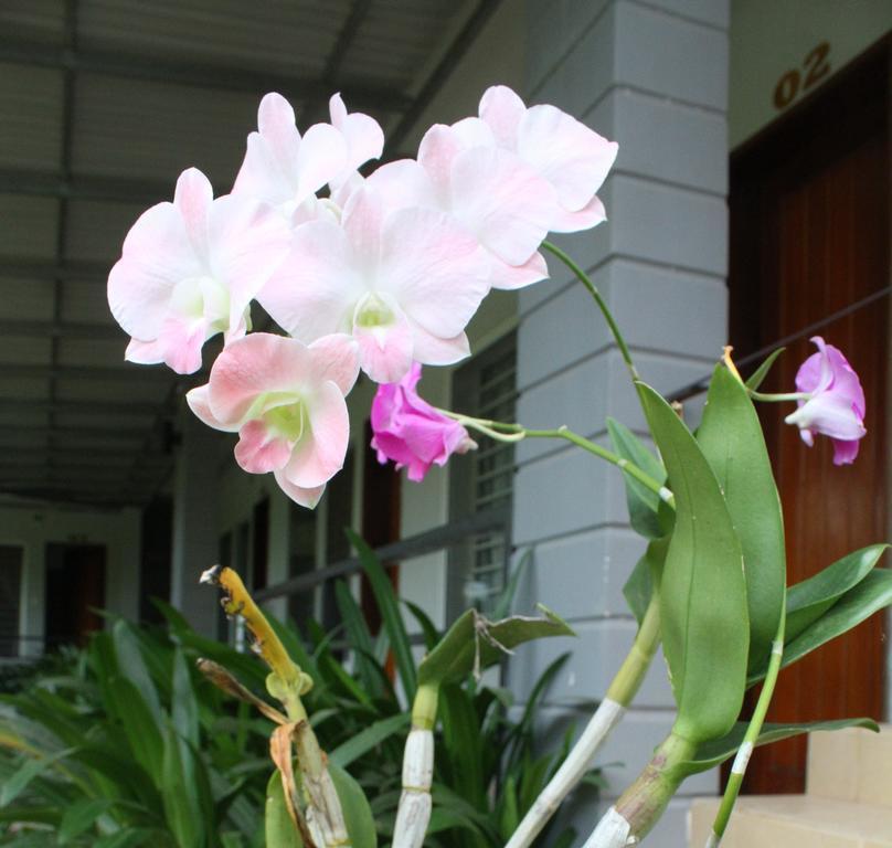 My Parents Guesthouse Kampot Exteriör bild