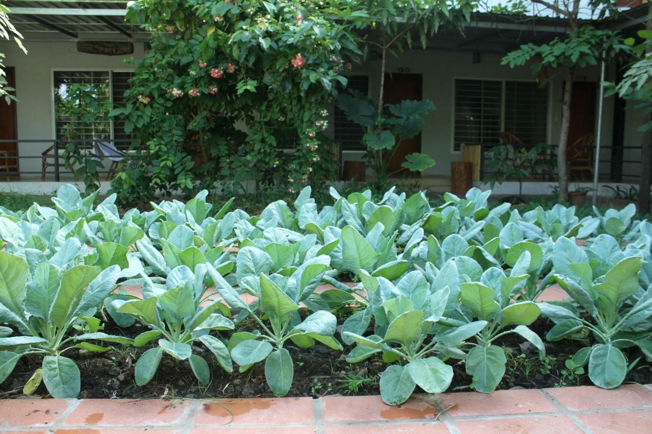 My Parents Guesthouse Kampot Exteriör bild